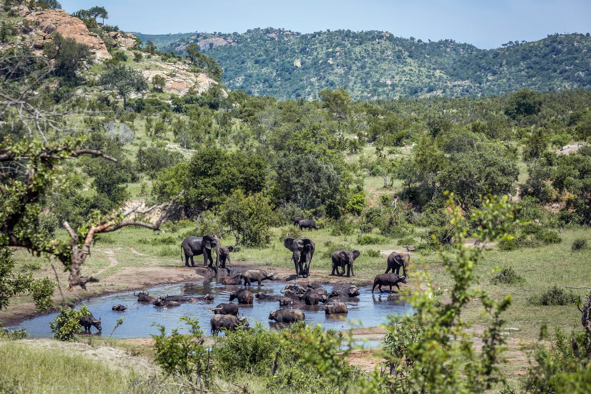 South Africa debates renaming national park dedicated to controversial former president South Africa debates renaming national park dedicated to controversial former president